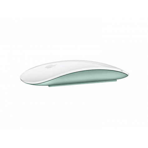 Apple Magic Mouse 2 wireless - Blue Refurbished | Used